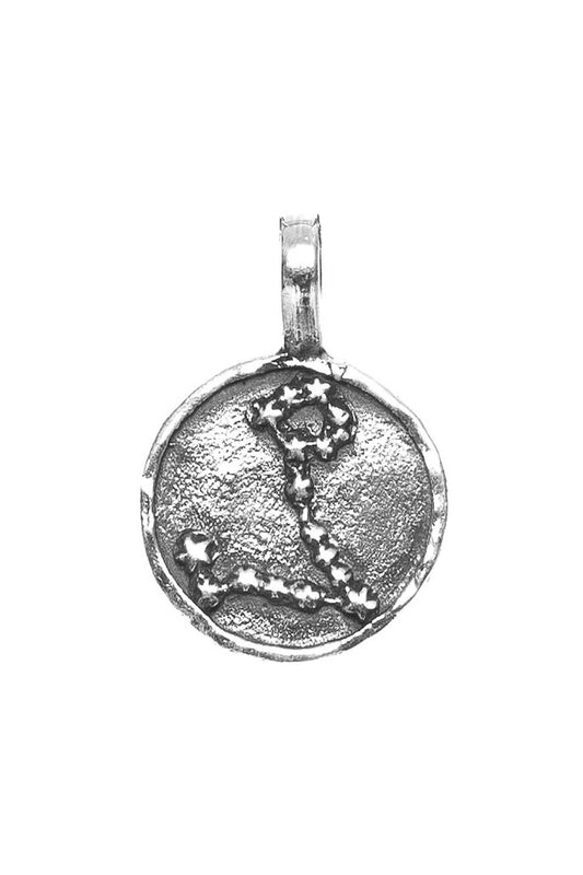 The Star Sign Pendant - Pisces